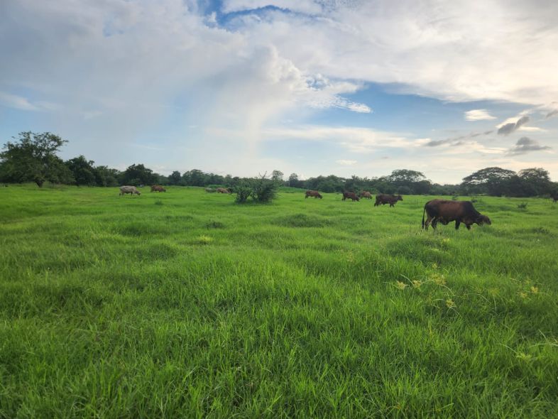 inmobiliaria en cartagena
