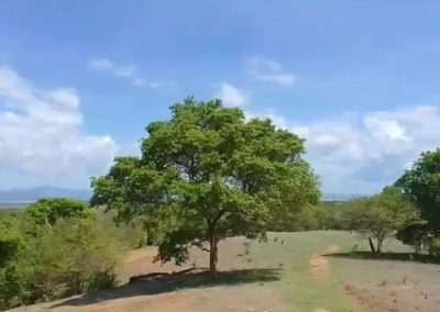 finca ganadera cerca a cartagena